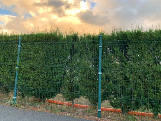 Güvenlik kaynaklı tel örgü çit korozyon kaplama 3d panel