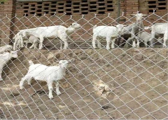 14 Gauge 6 Gauge Metal Zincir Bağlantısı Çit Düşük Karbonlu Çelik