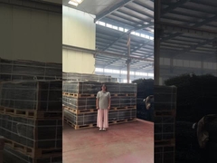 Clear View Kafes Çivileri Güvenlik 358 Tırmanma Önleyici Çit