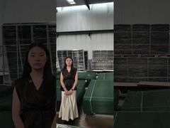 Clear View Çit Tırmanma Önleyici Güvenlik Çiti yapım paleti